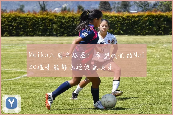 Meiko八周年返图：希望我们的Meiko选手能够永远健康快乐