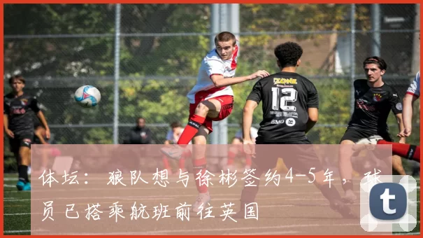 体坛：狼队想与徐彬签约4-5年，球员已搭乘航班前往英国