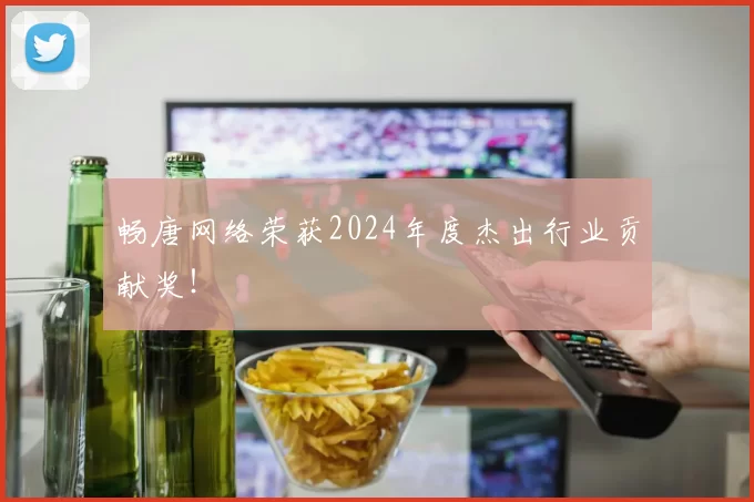 畅唐网络荣获2024年度杰出行业贡献奖！