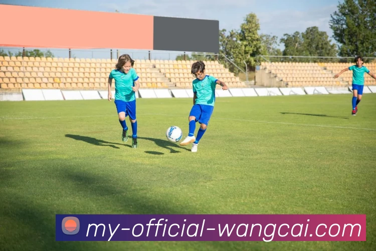 旺财28品牌故事