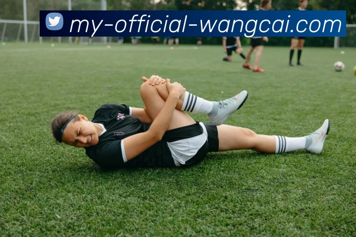 旺财28服务体系